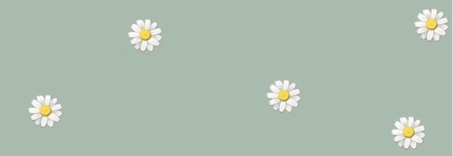 Shop Banner