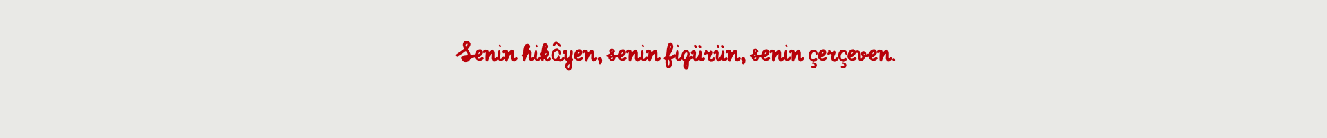 Shop Banner