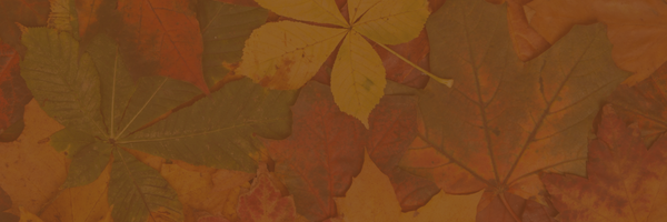Shop Banner
