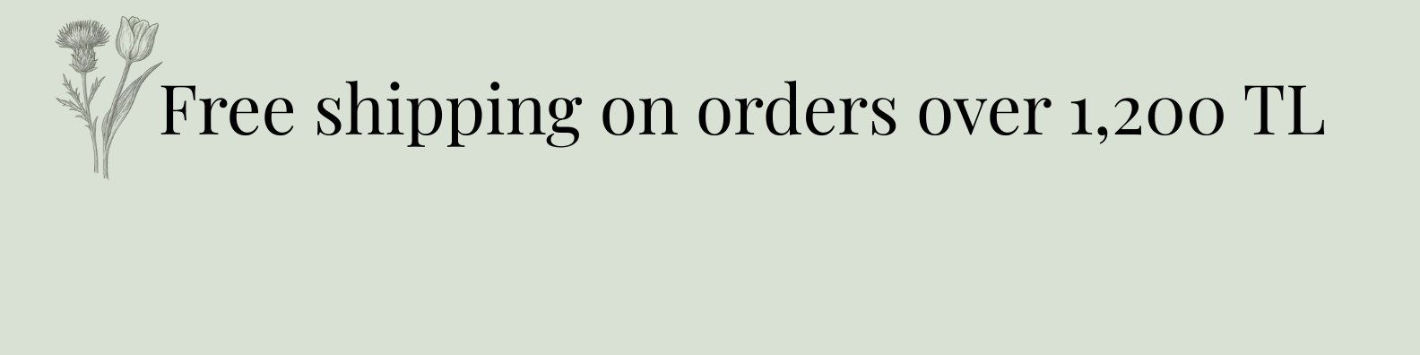 Shop Banner