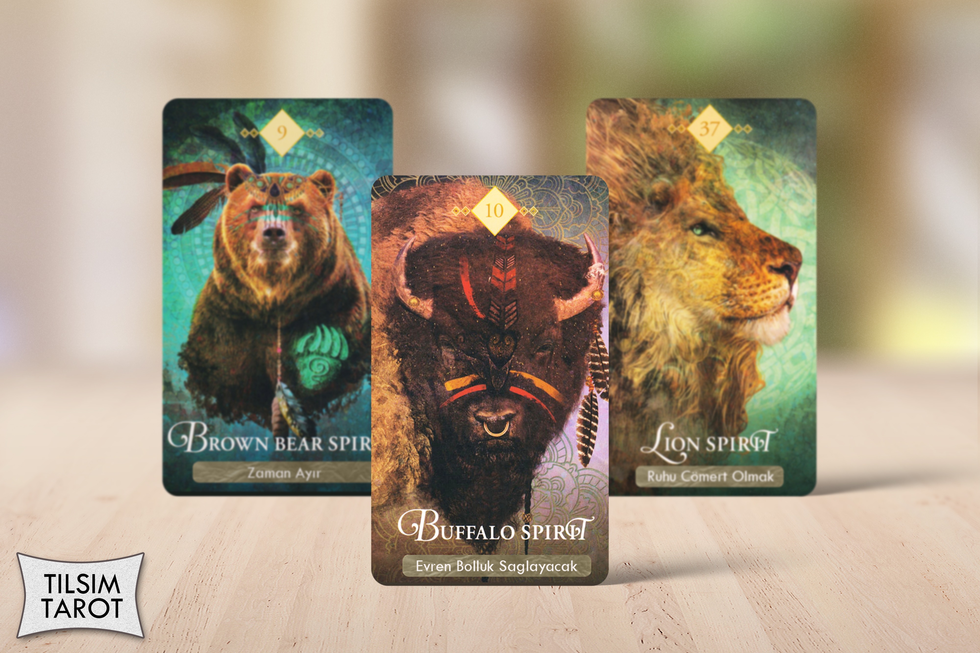 Shop Banner