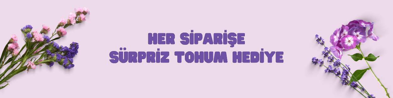 Shop Banner