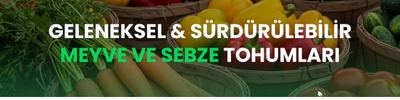 Shop Banner