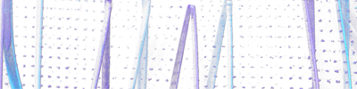 Shop Banner