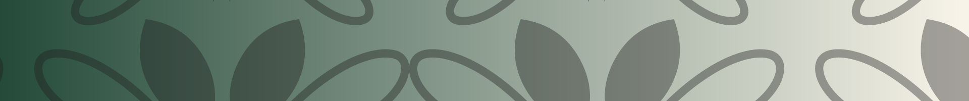 Shop Banner