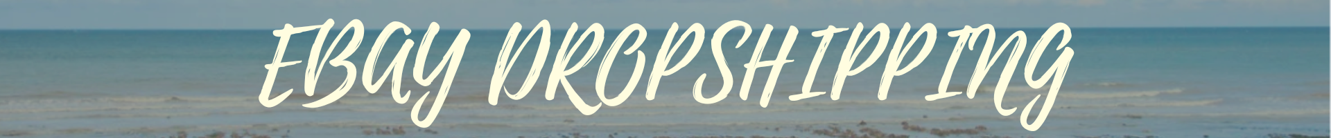 Shop Banner