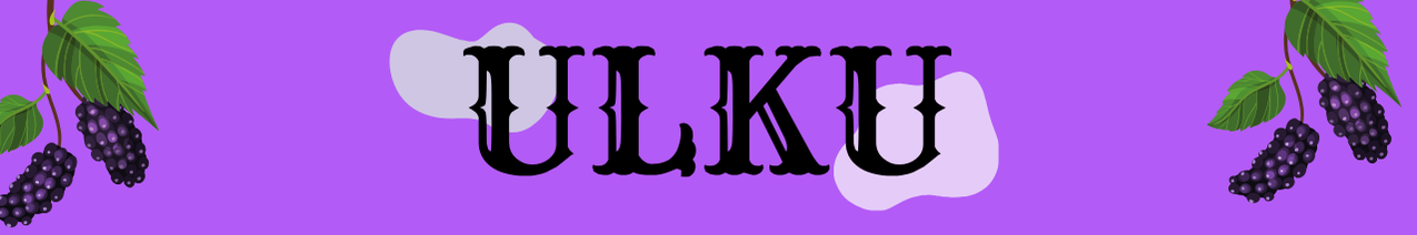 Shop Banner