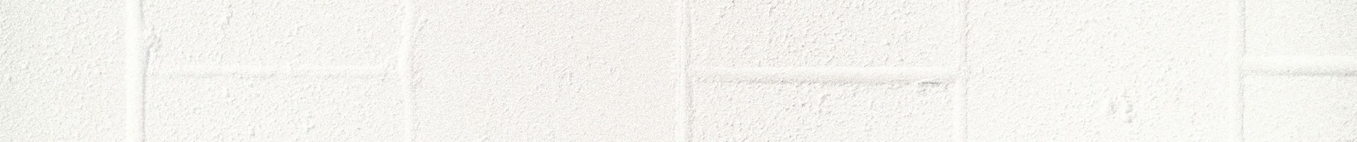 Shop Banner