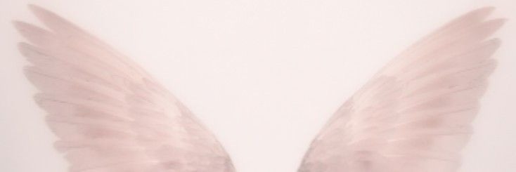 Shop Banner