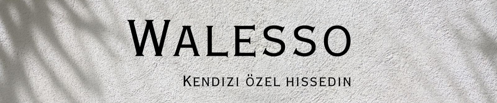 Shop Banner