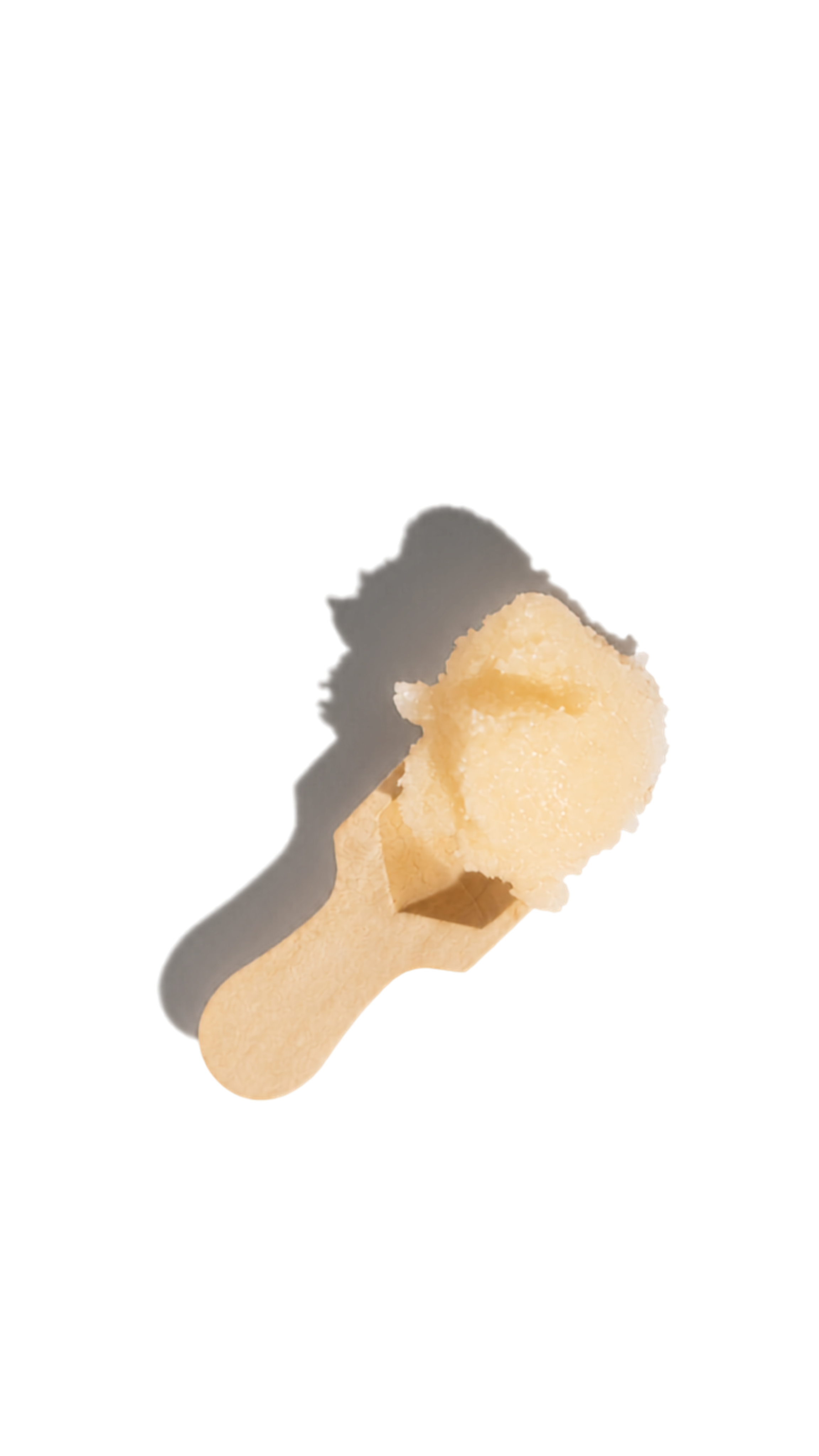 Shop Banner