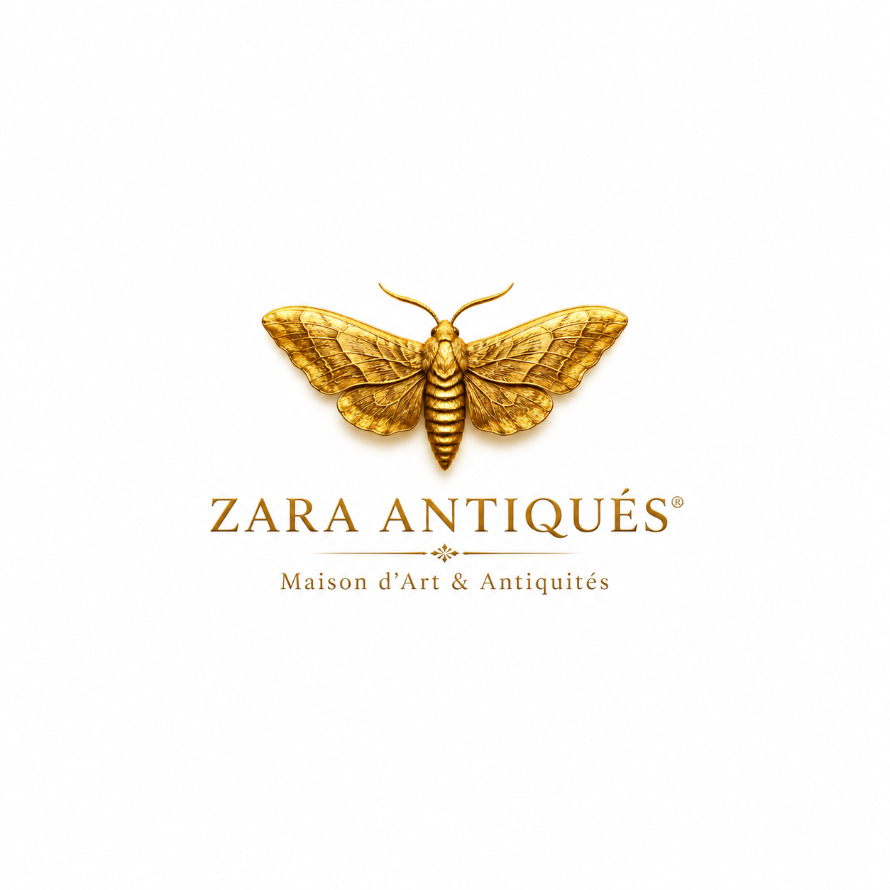 Shop Banner