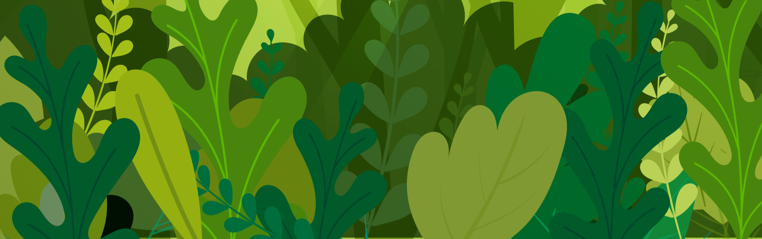 Shop Banner