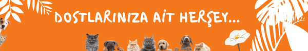Shop Banner