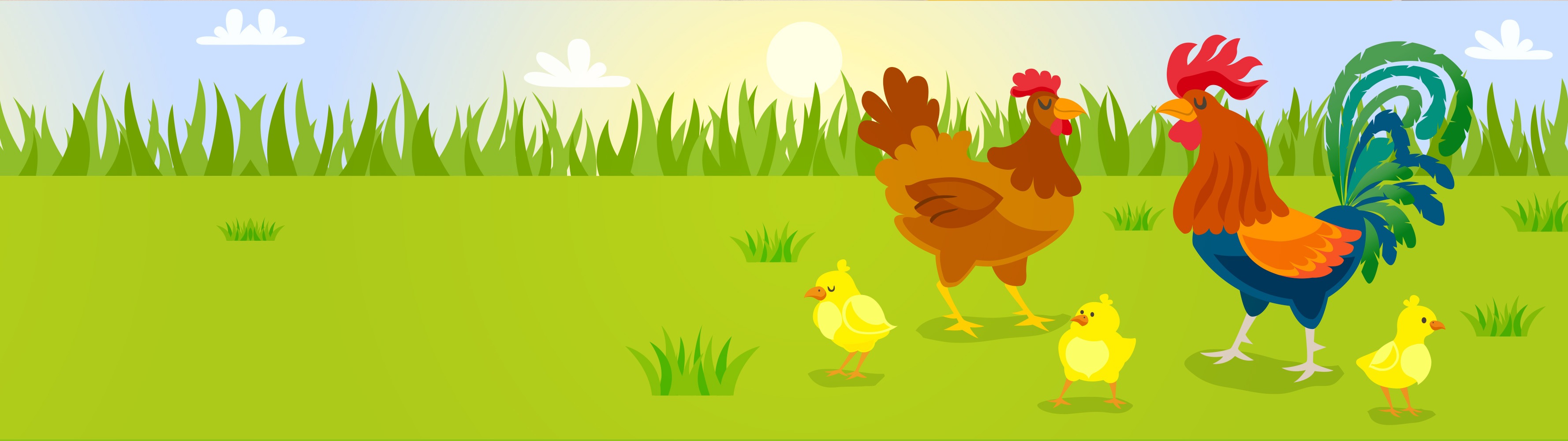 Shop Banner