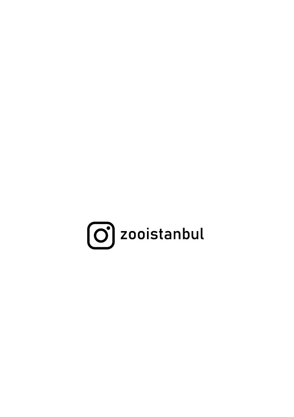 Shop Banner
