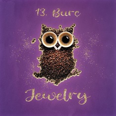 13burcom