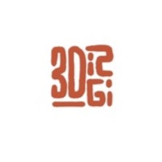 3dizgi