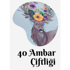 40ambarciftligi