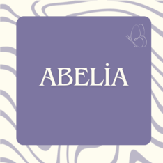 Abelia_Design