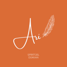 AriStone