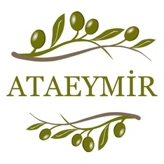 Ataeymir