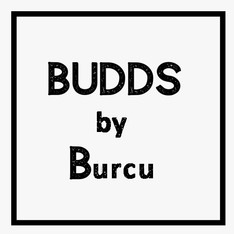 Bud Design Studio