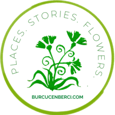 BURCUCENBERCI