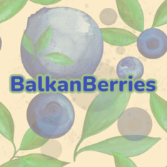 BalkanBerries