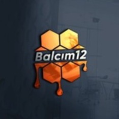 bingolbalcim12