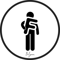 BirFigurum