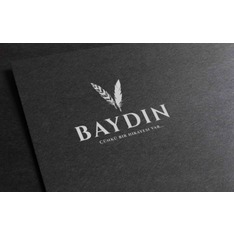 ByBAYDIN