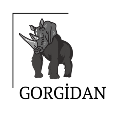 DijiGorgidan