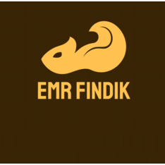 emrfindik
