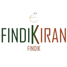 Findikiran
