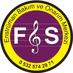 FveSMusic