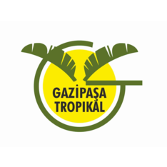 Gazipaşatropikal 