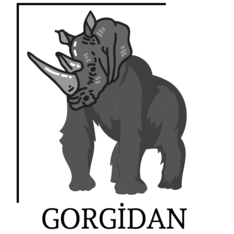 gorgidandesign