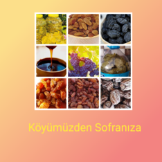 Gumuscayim