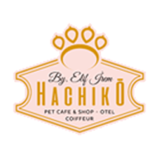 Hachiko