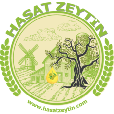 Hasat Zeytin 