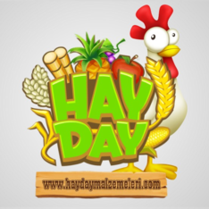 haydaymalzemeleri