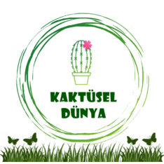 KAKTUSELDUNYA