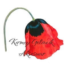 KirmiziGelincikAksesuar