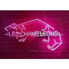 LesChameleons