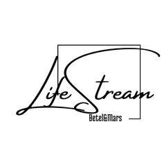 LifeStream