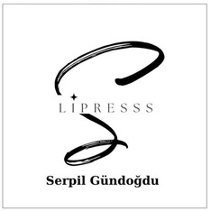 lipresss__word_brands