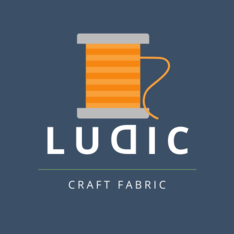 Ludic
