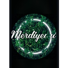 Merdiyeart03