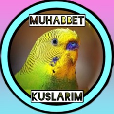 MuhabbetKuslarim
